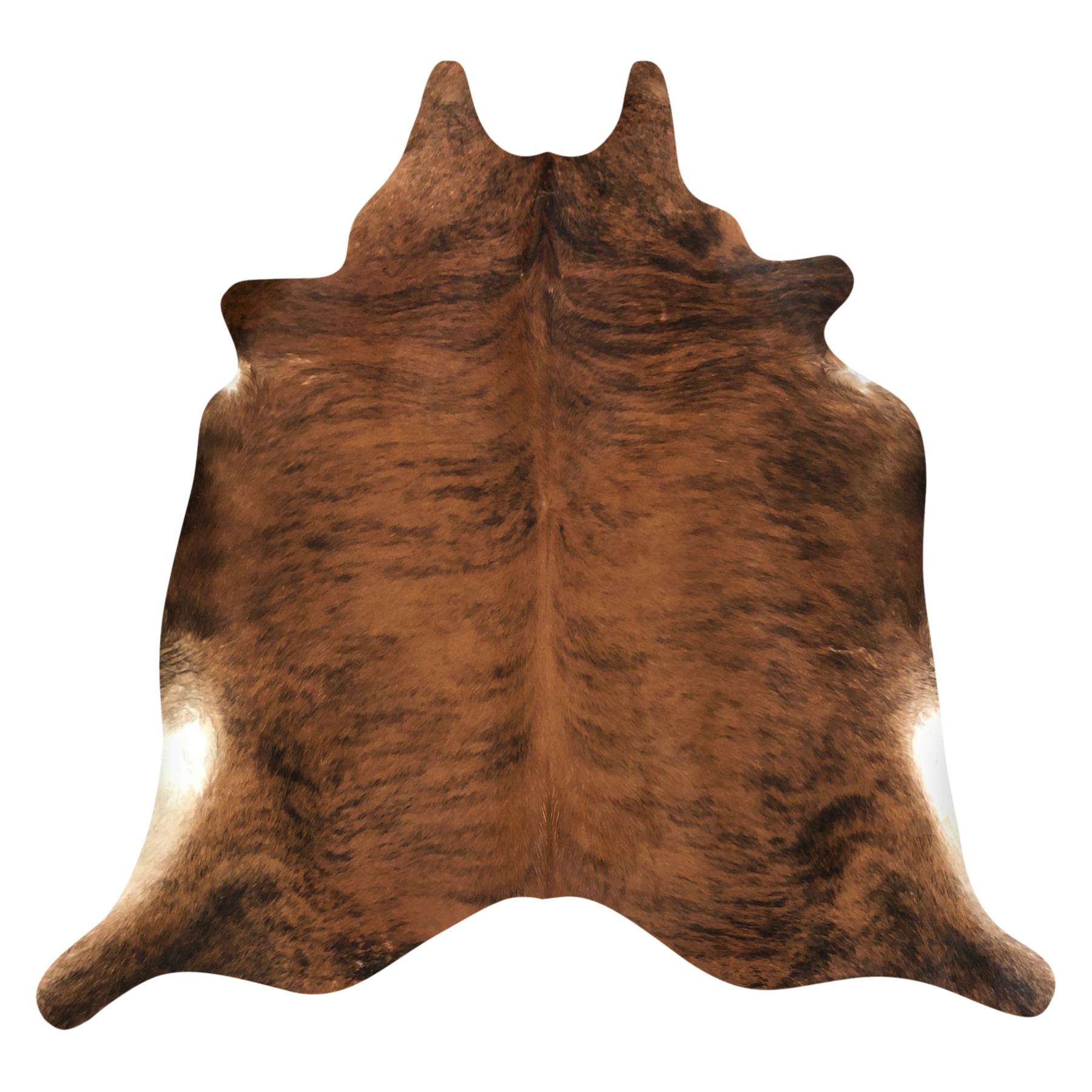 Natural Brazilian cowhide rug in Mocha, Espresso & Ivory with Brindle markings, 214 x 232 cm