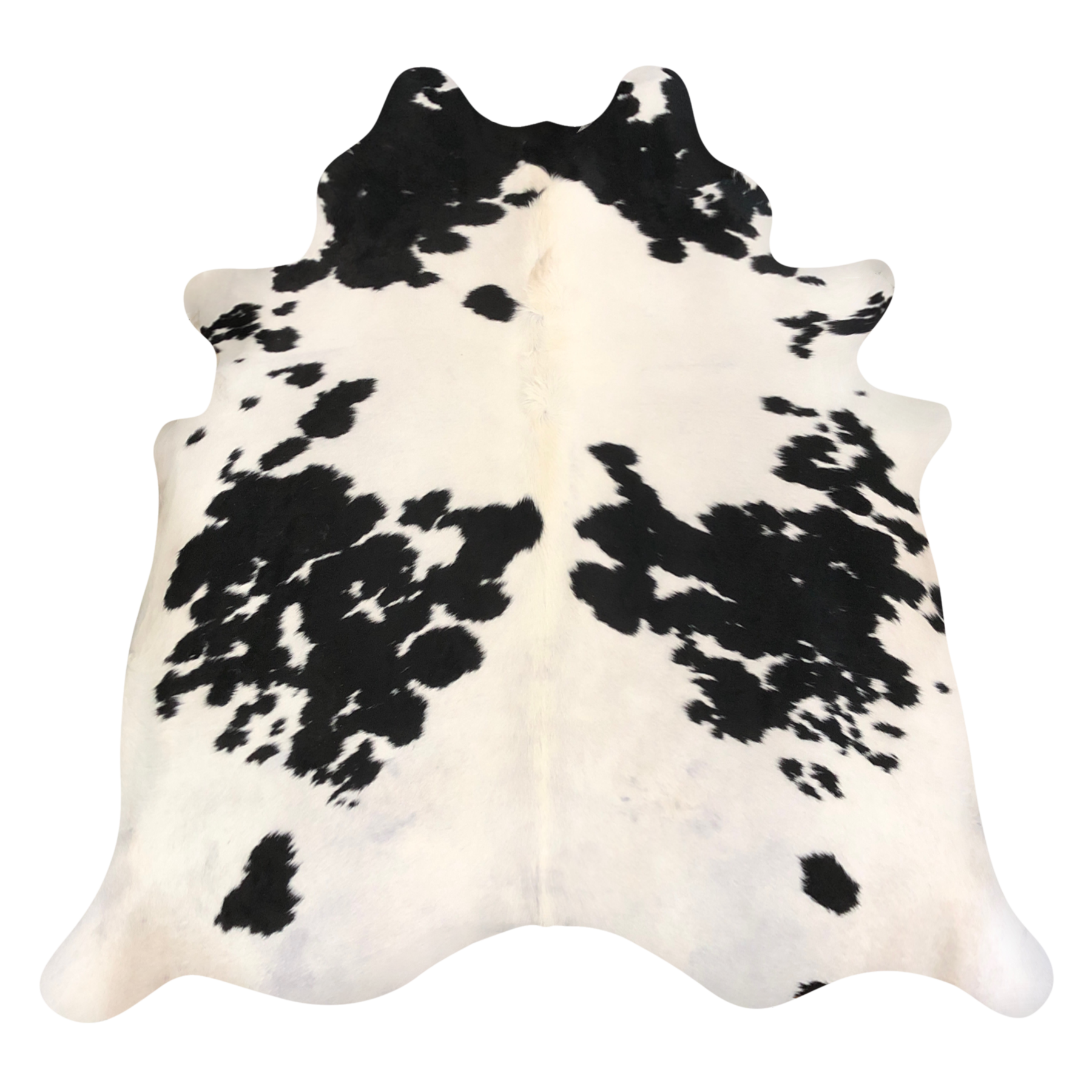 Natural Brazilian cowhide rug in Ivory & Espresso with Exotic markings, 203 x 218 cm