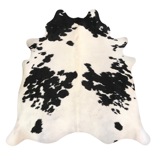Natural Brazilian cowhide rug in Ivory & Espresso with Exotic markings, 203 x 218 cm