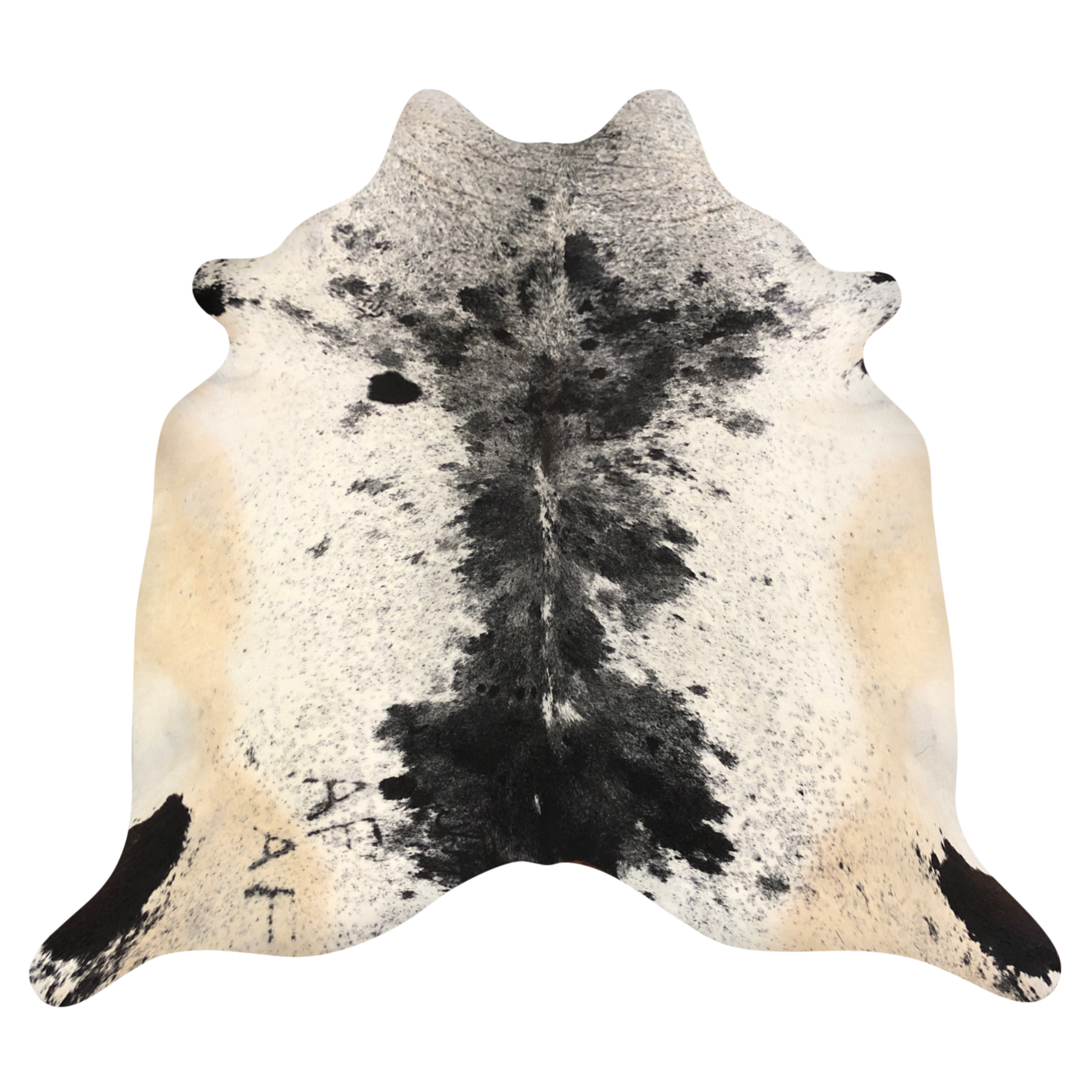 Natural Brazilian cowhide rug in Espresso, Ivory & Beige with Exotic markings, 210 x 230 cm