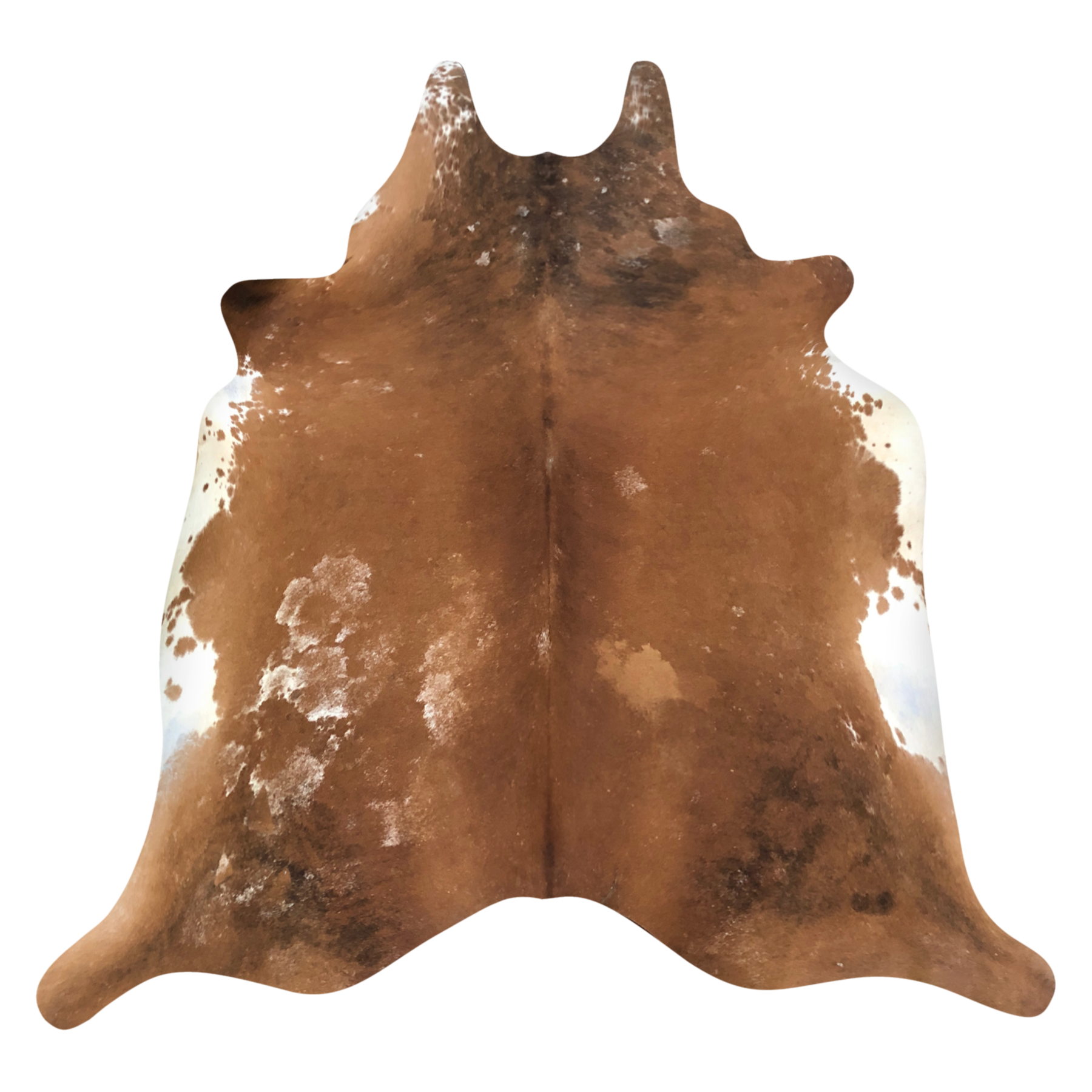 Natural Brazilian cowhide rug in Caramel, Taupe & Ivory with Exotic markings, 210 x 220 cm