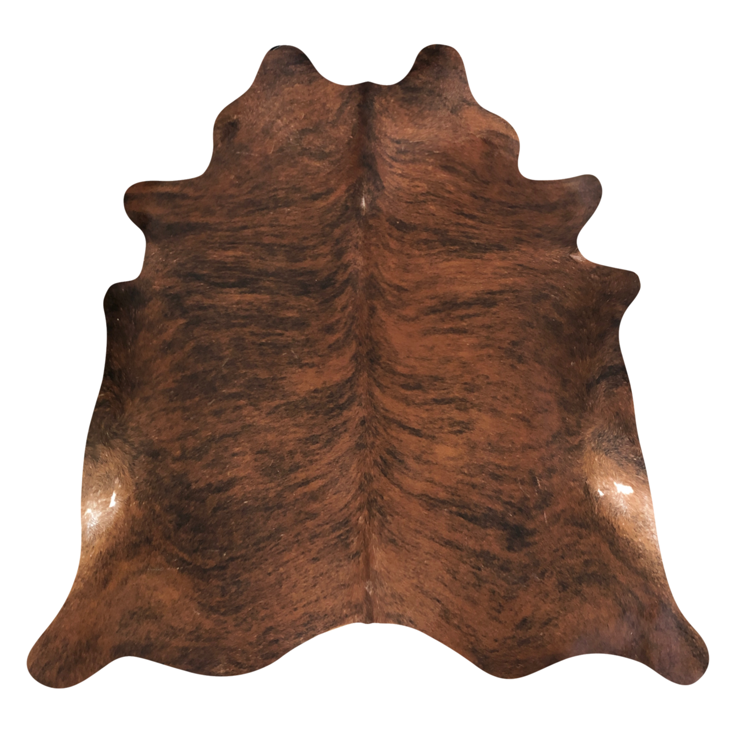 Natural Brazilian cowhide rug in Mocha, Espresso & Ivory with Brindle markings, 197 x 232 cm
