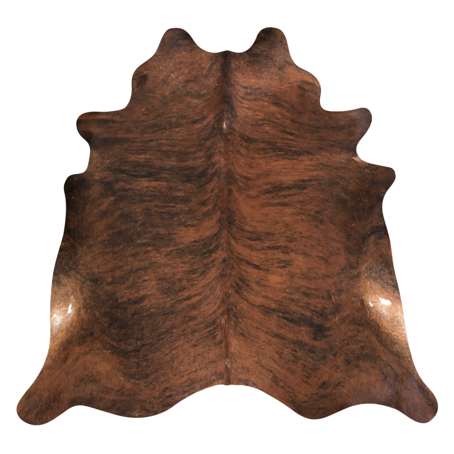 Natural Brazilian cowhide rug in Mocha, Espresso & Ivory with Brindle markings, 197 x 232 cm