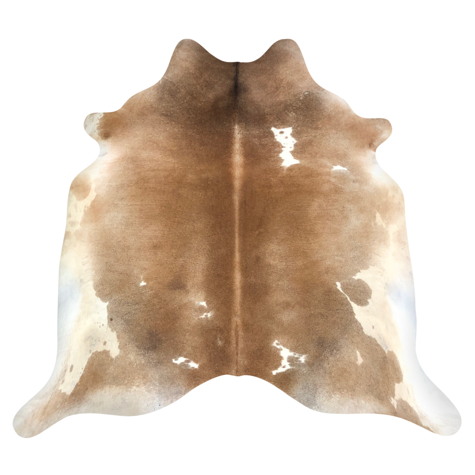 Natural Brazilian cowhide rug in Caramel & Ivory with Exotic markings, 220 x 223 cm