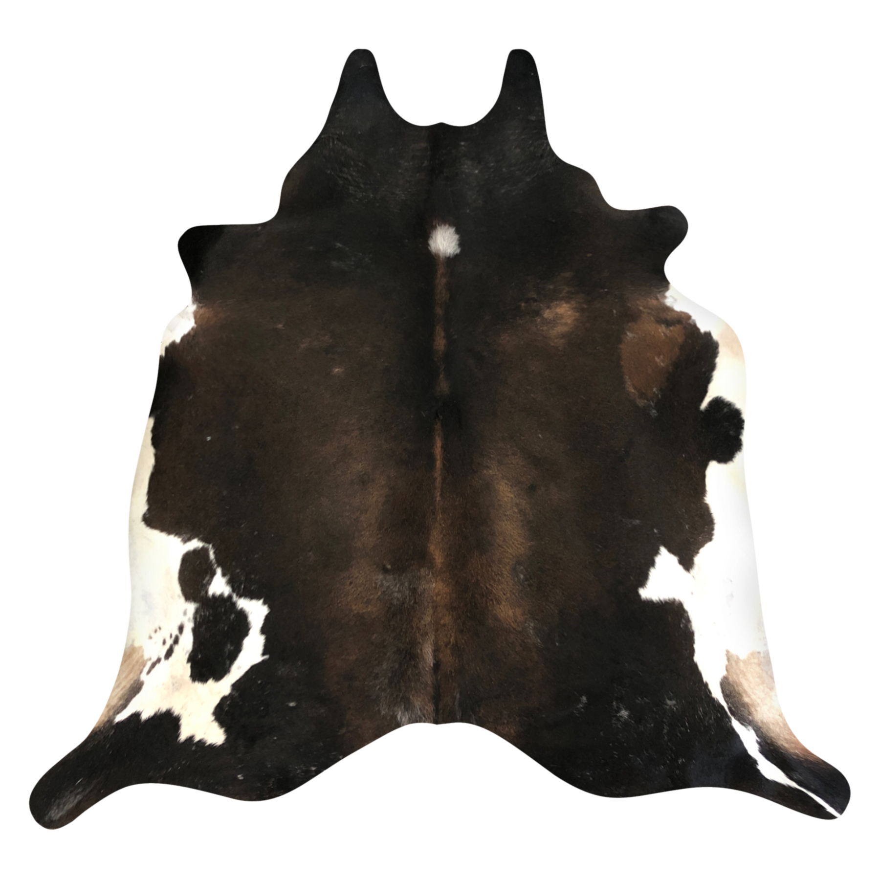 Natural Brazilian cowhide rug in Espresso, Chocolate & Ivory with Exotic markings, 190 x 235 cm