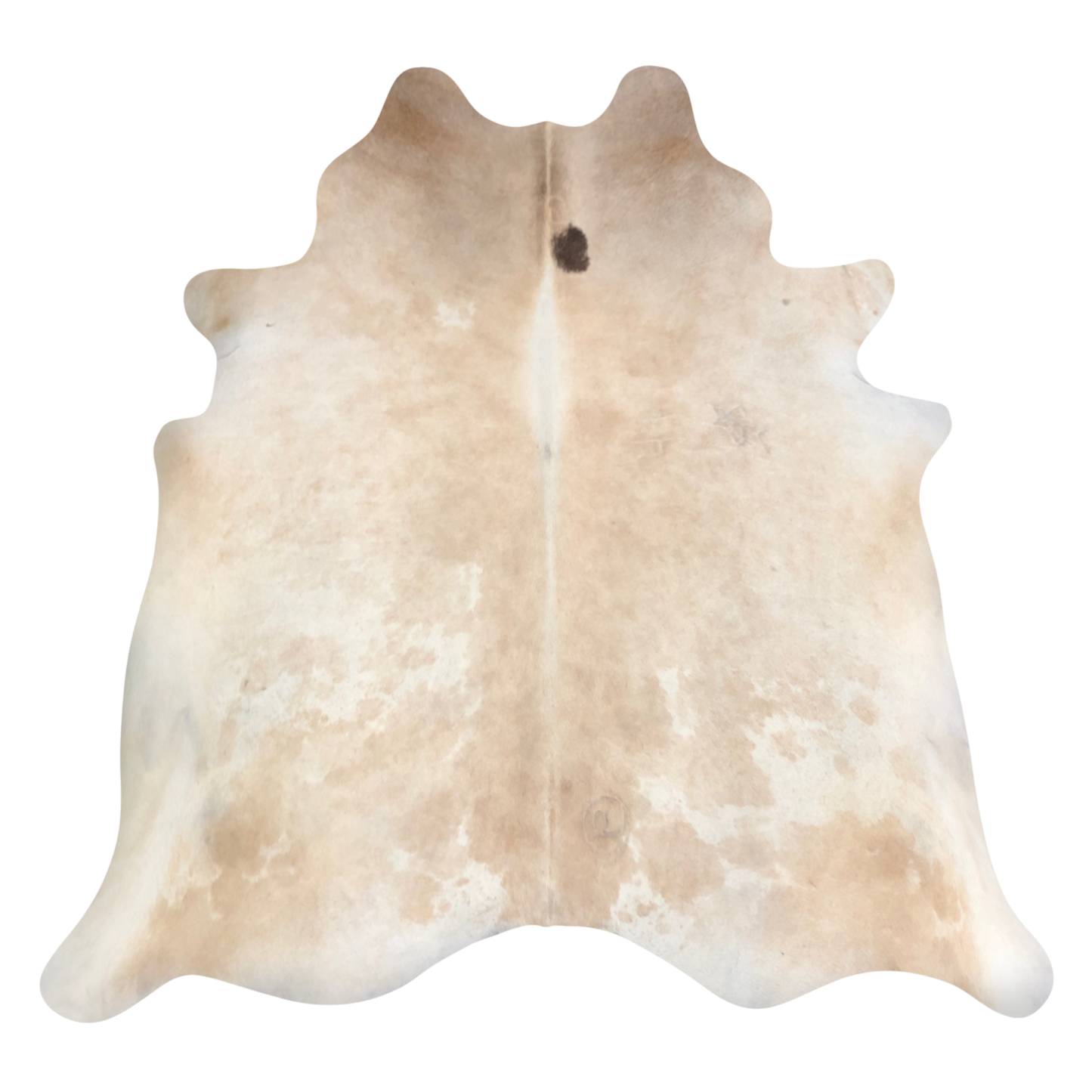 Natural Brazilian cowhide rug in Beige, Ivory & Espresso with Exotic markings, 224 x 216 cm