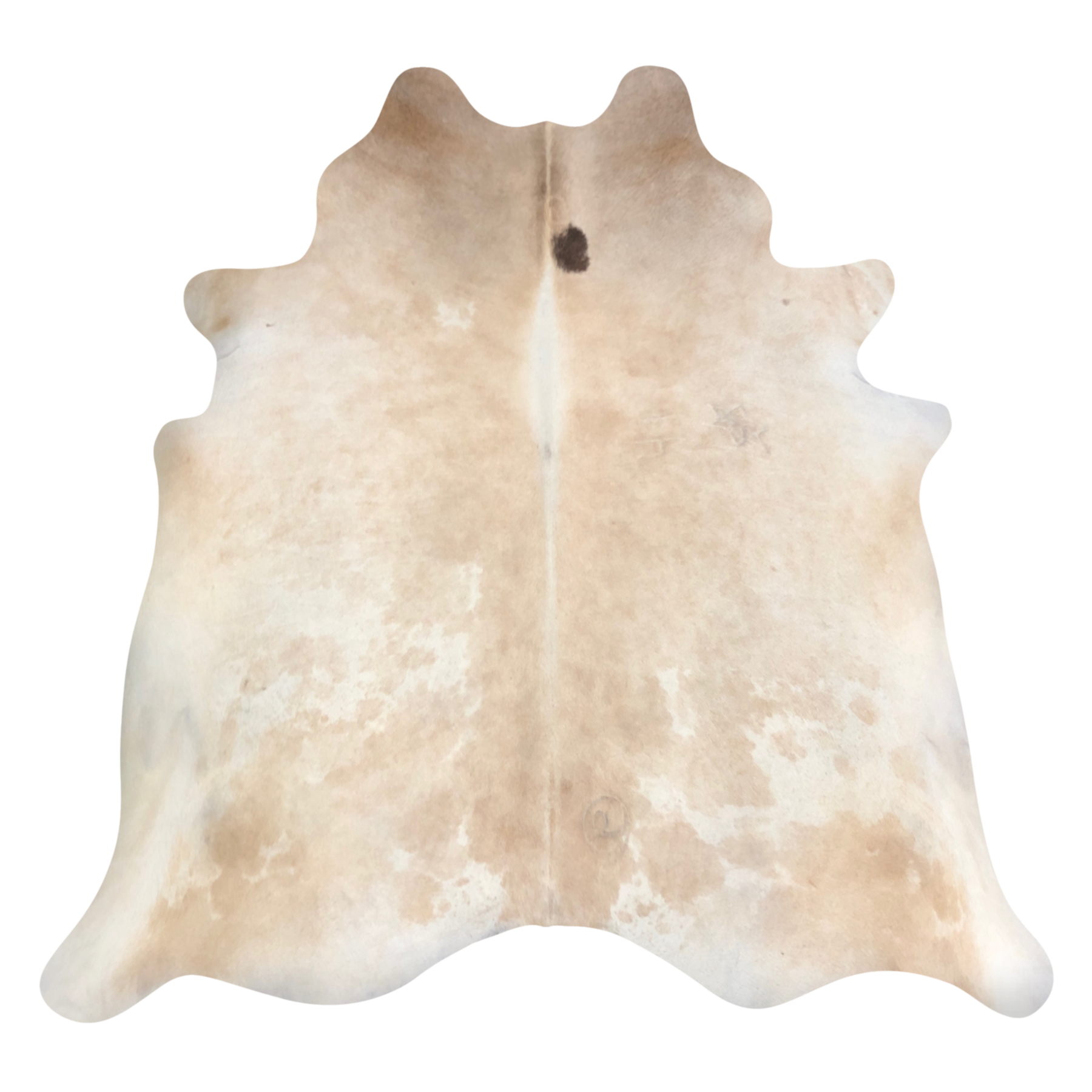 Natural Brazilian cowhide rug in Beige, Ivory & Espresso with Exotic markings, 224 x 216 cm