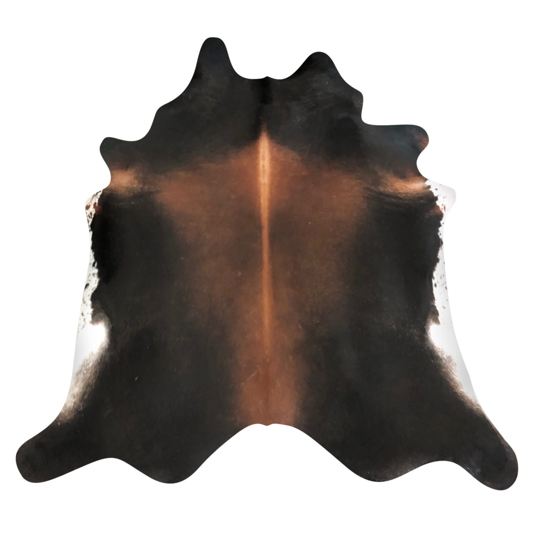 Natural Brazilian cowhide rug in Espresso, Mocha & Ivory with Exotic markings, 198 x 240 cm