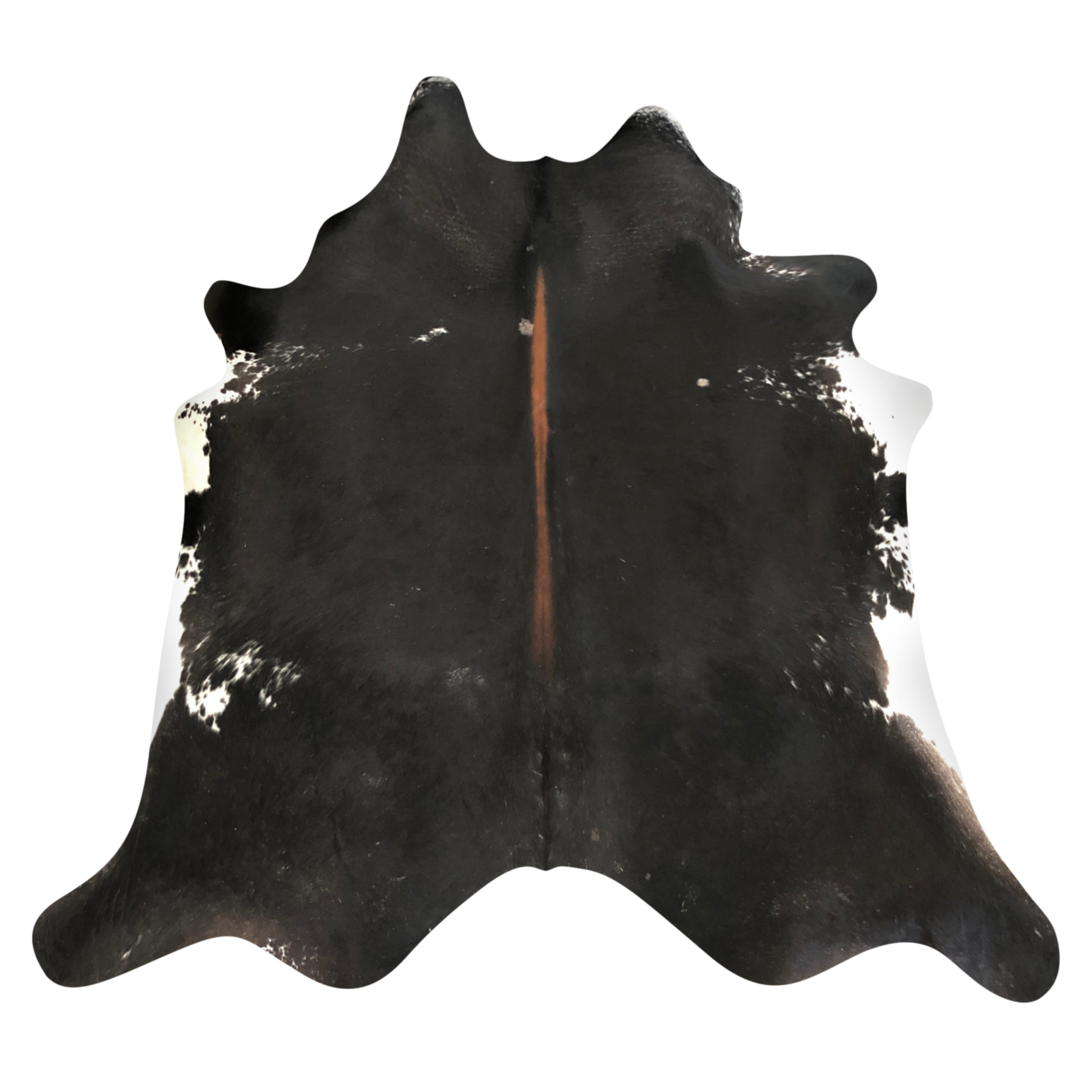 Natural Brazilian cowhide rug in Espresso, Mocha & Ivory with Exotic markings, 204 x 243 cm