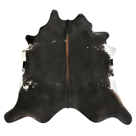 Natural Brazilian cowhide rug in Espresso, Mocha & Ivory with Exotic markings, 204 x 243 cm