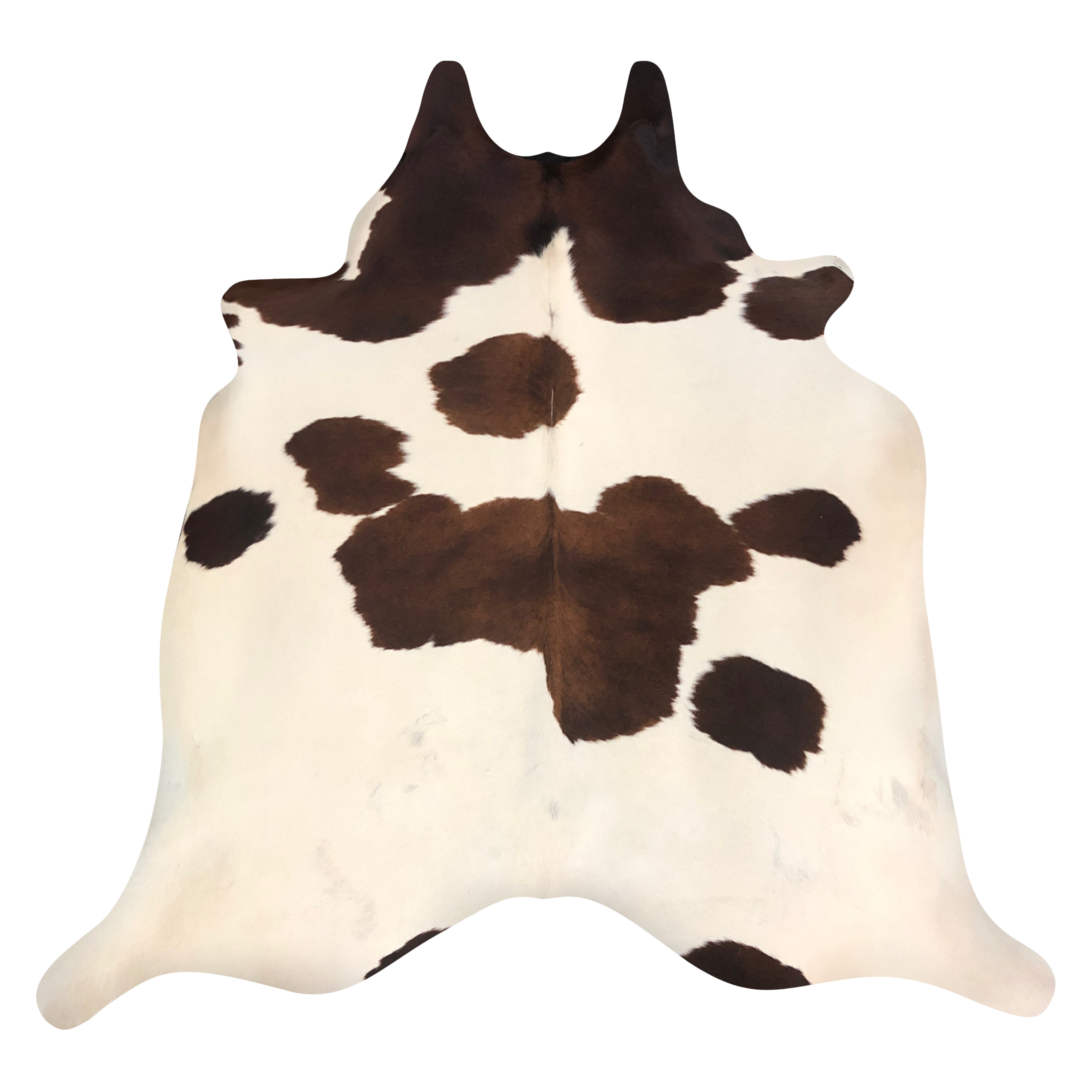 Natural Brazilian cowhide rug in Espresso, Mocha & Chocolate with Exotic markings, 213 x 237 cm