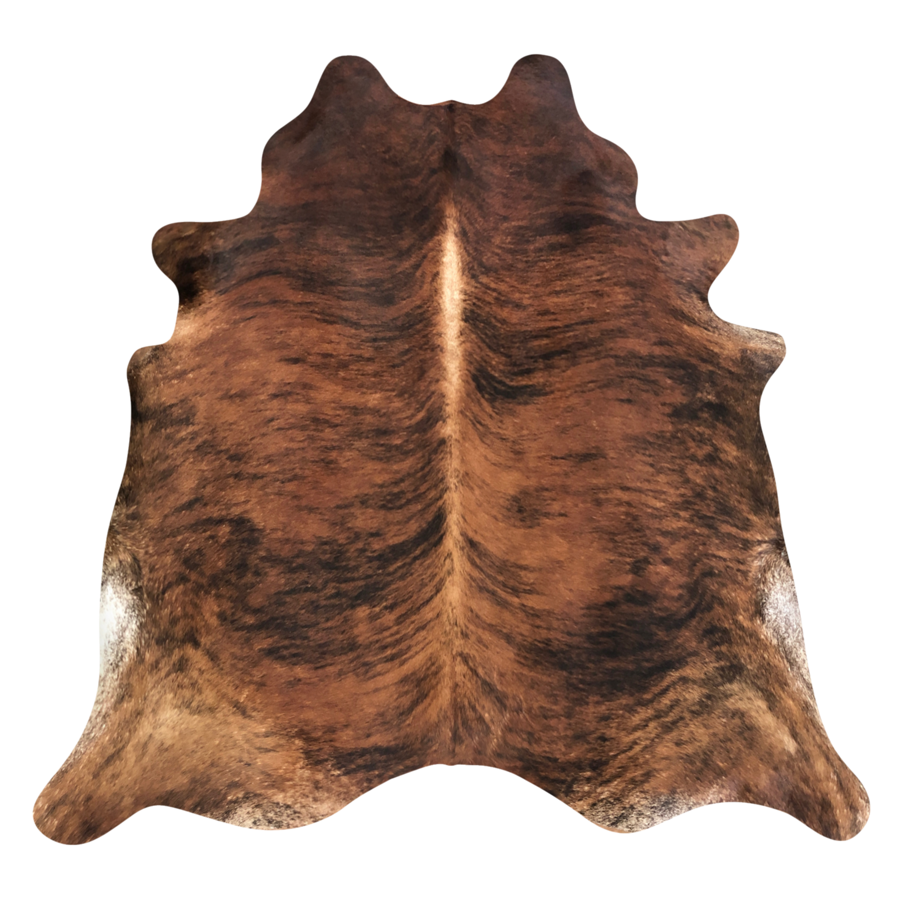 Natural Brazilian cowhide rug in Mocha, Espresso & Ivory with Brindle markings, 212 x 234 cm