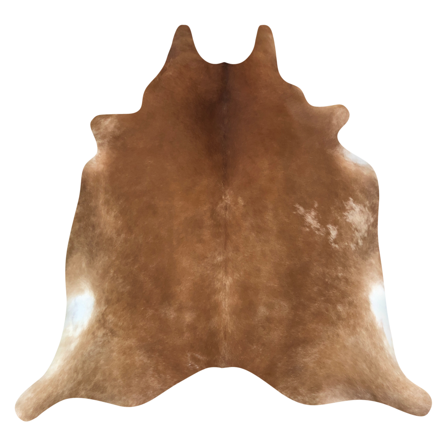 Natural Brazilian cowhide rug in Mocha & Ivory with Exotic markings, 208 x 240 cm