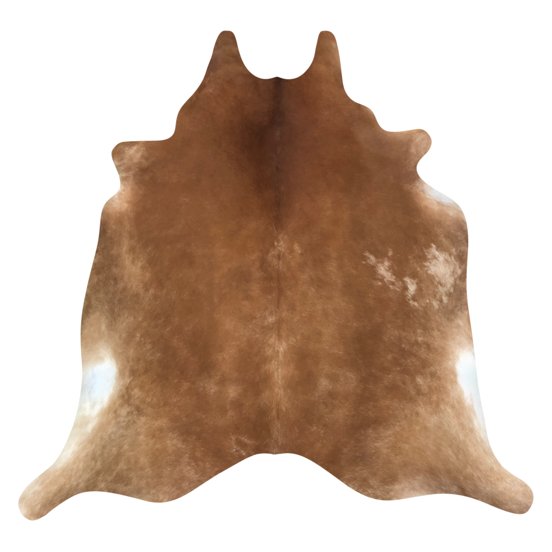 Natural Brazilian cowhide rug in Mocha & Ivory with Exotic markings, 208 x 240 cm