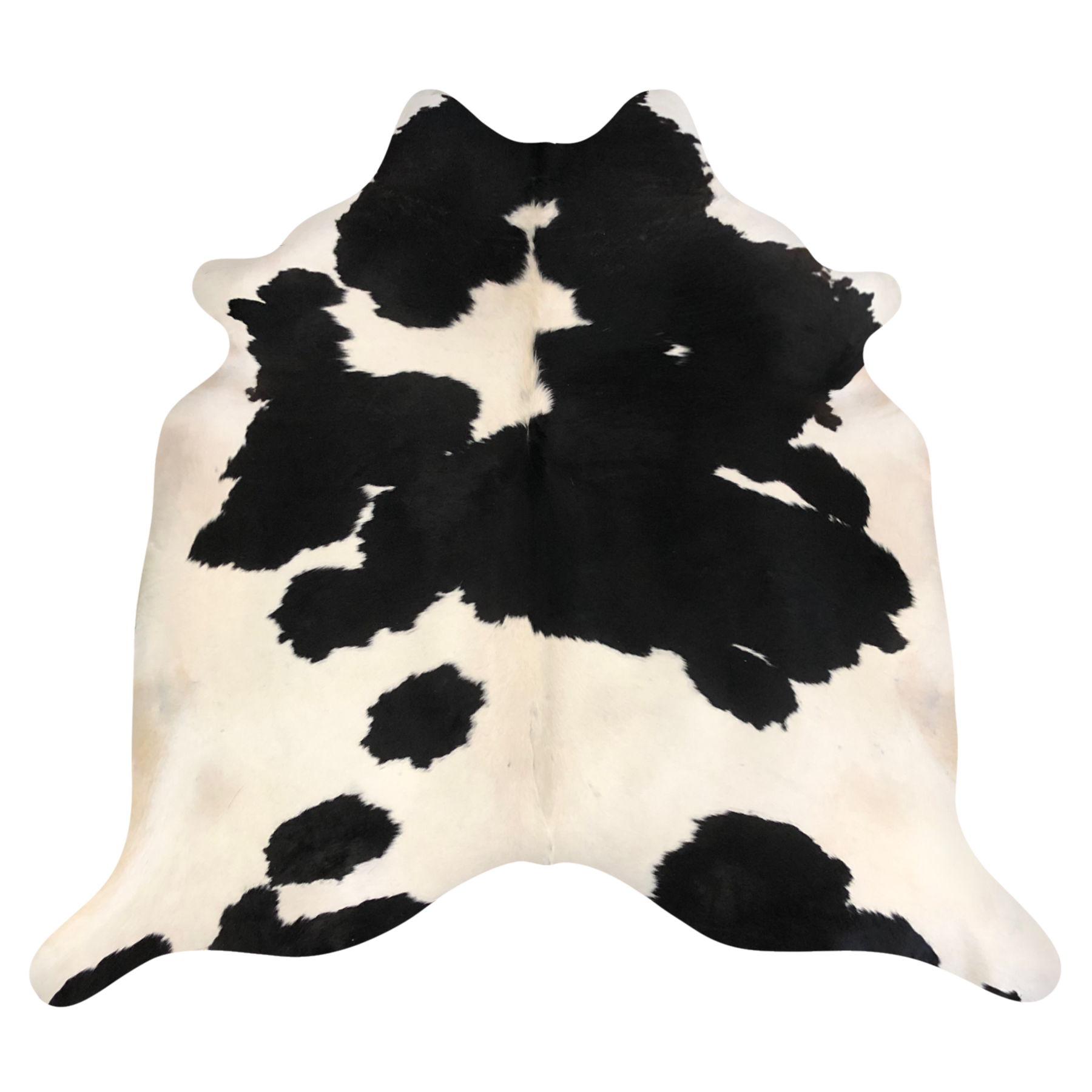 Natural Brazilian cowhide rug in Espresso & Ivory with Exotic markings, 190 x 228 cm