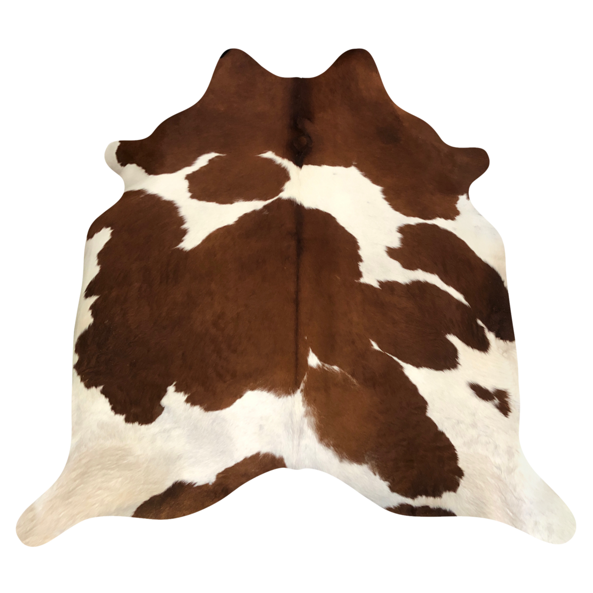 Natural Brazilian cowhide rug in Mocha & Ivory with exotic markings, 185 x 223 cm