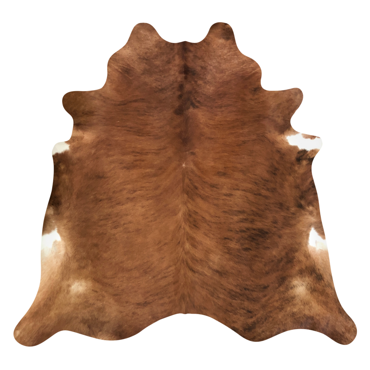 Natural Brazilian cowhide rug in Mocha, Espresso & Ivory with brindle markings, 210 x 230 cm