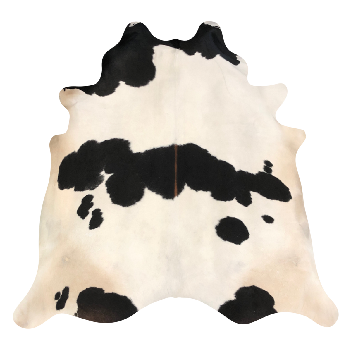 Natural Brazilian cowhide rug in Ivory, Espresso & Mocha with exotic markings, 230 x 250 cm