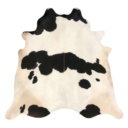 Natural Brazilian cowhide rug in Ivory, Espresso & Mocha with exotic markings, 230 x 250 cm
