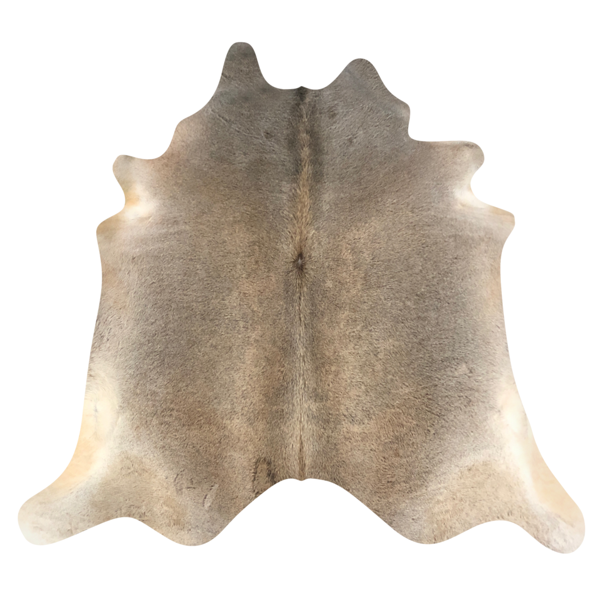 Natural Brazilian cowhide rug in Taupe, Caramel & Ivory with exotic markings, 228 x 244 cm