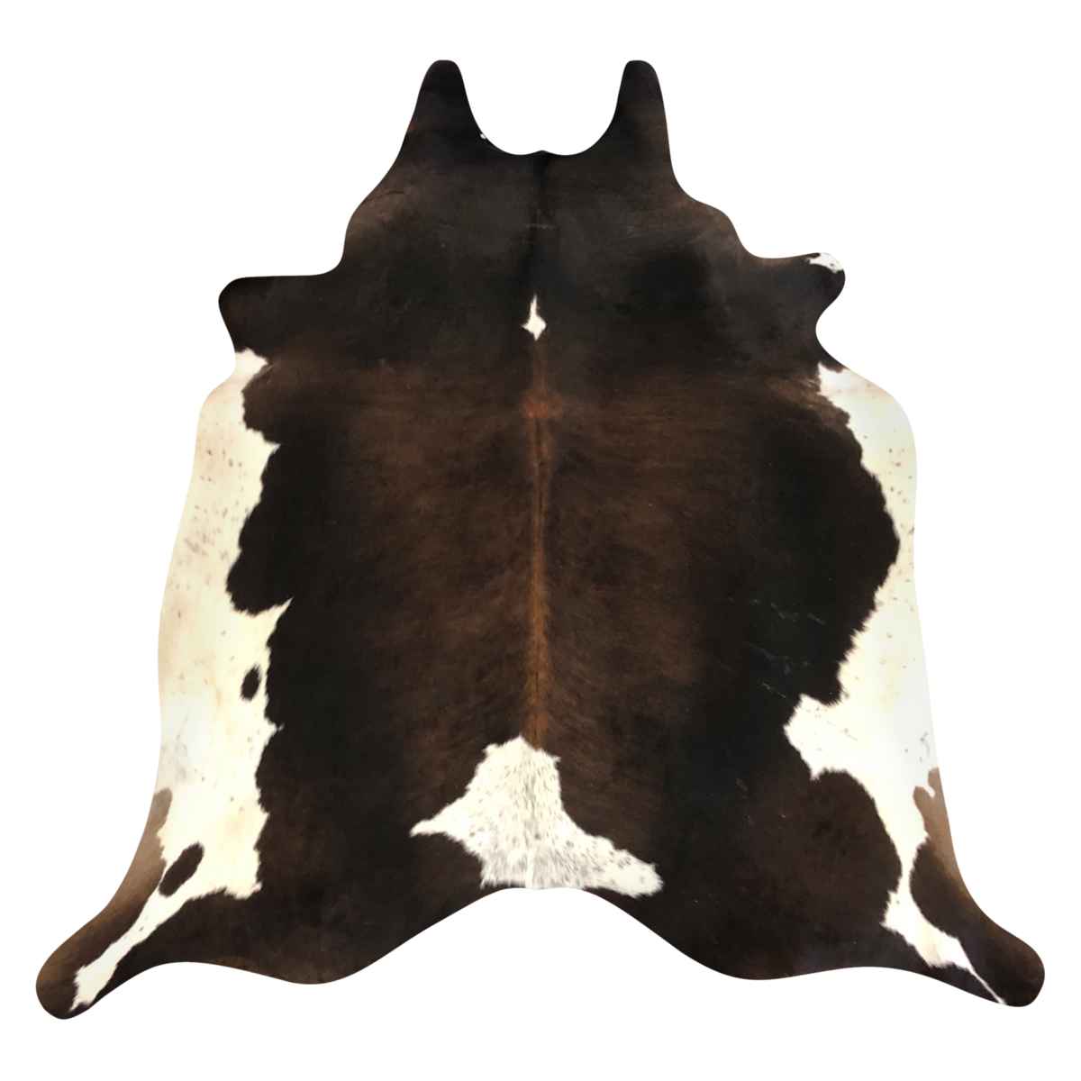 Natural Brazilian cowhide rug in Espresso, Mocha & Ivory with exotic markings, 200 x 243 cm