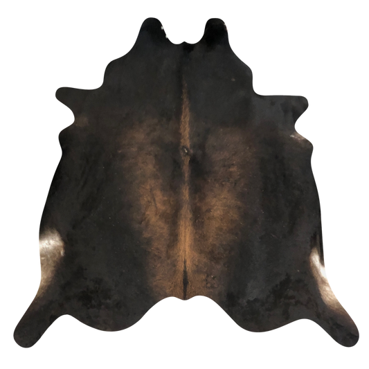 Natural Brazilian cowhide rug in Espresso, Caramel & Ivory with exotic markings, 234 x 250 cm