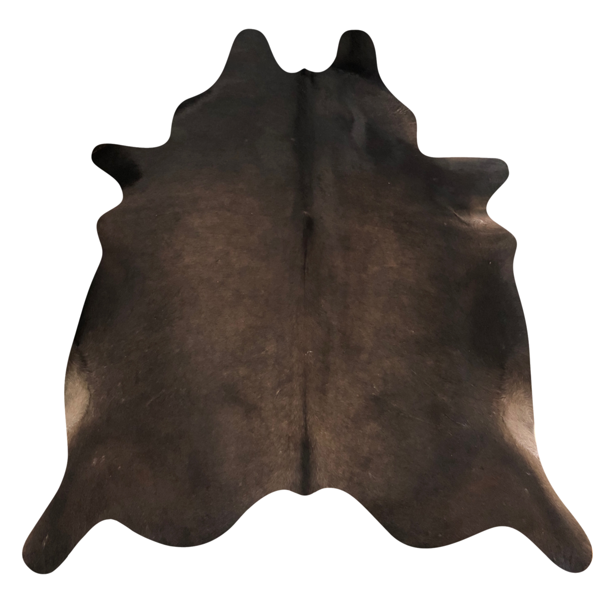 Natural Brazilian cowhide rug in Chocolate with a solid, even tone, 192 x 232 cm