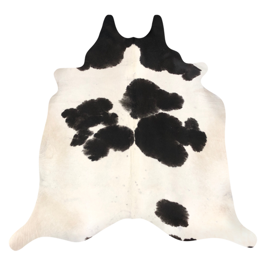 Natural Brazilian cowhide rug in Ivory & Espresso with exotic markings, 208 x 233 cm