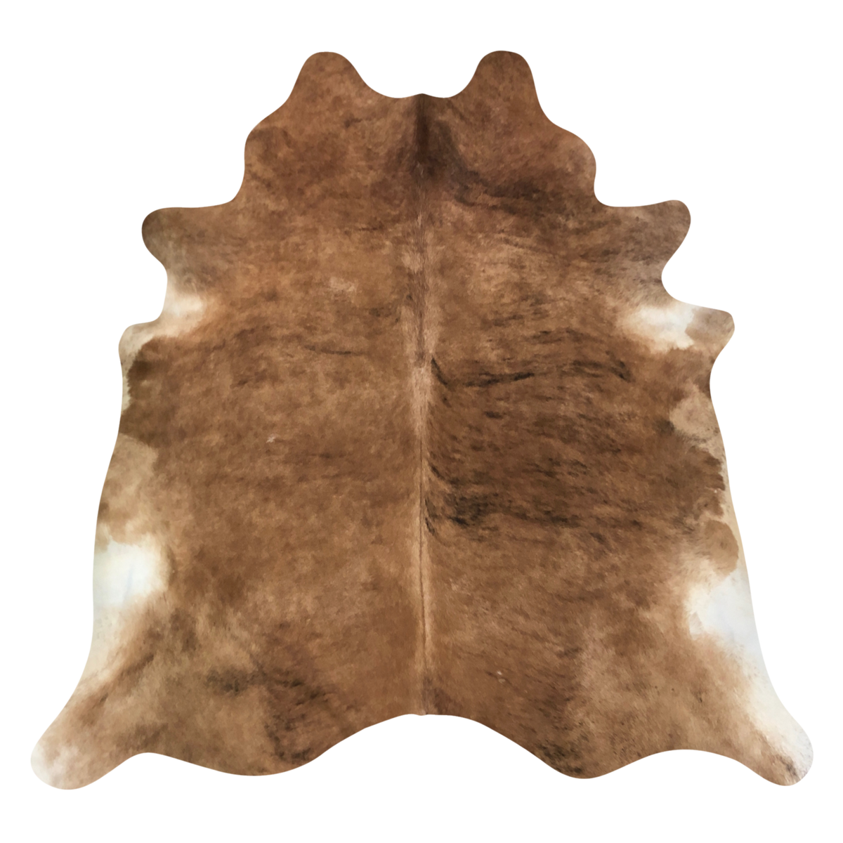 Natural Brazilian cowhide rug in Caramel, Espresso & Ivory with exotic markings, 210 x 233 cm
