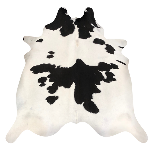 Natural Brazilian cowhide rug in Ivory & Espresso with exotic markings, 223 x 240 cm