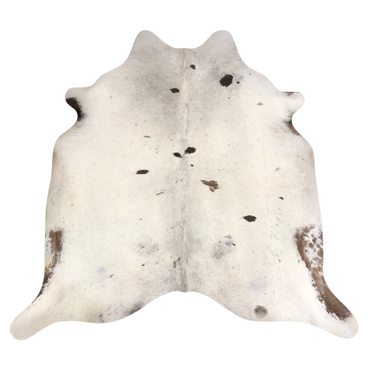 Natural Brazilian cowhide rug in Ivory, Espresso & Mocha with exotic markings, 212 x 227 cm
