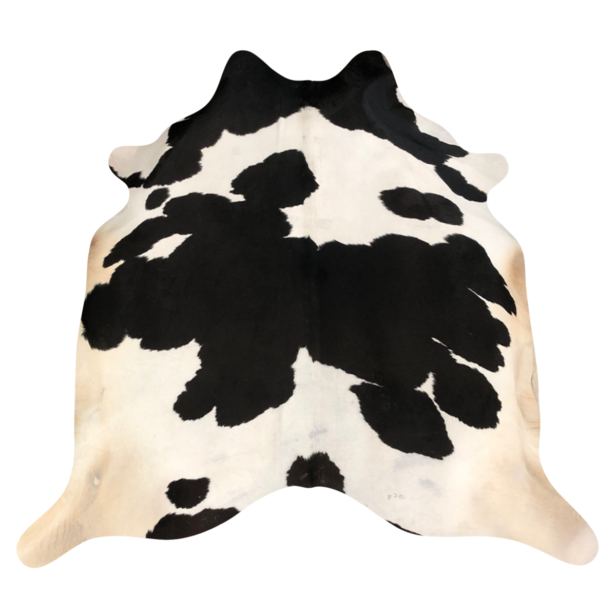 Natural Brazilian cowhide rug in Espresso & Ivory with exotic markings, 240 x 250 cm