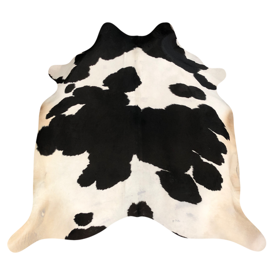 Natural Brazilian cowhide rug in Espresso & Ivory with exotic markings, 240 x 250 cm