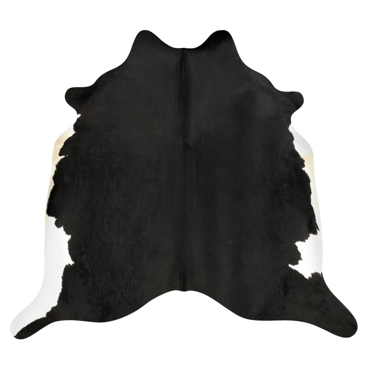 Natural Brazilian cowhide rug in Espresso & Ivory with Exotic markings, 215 x 250 cm