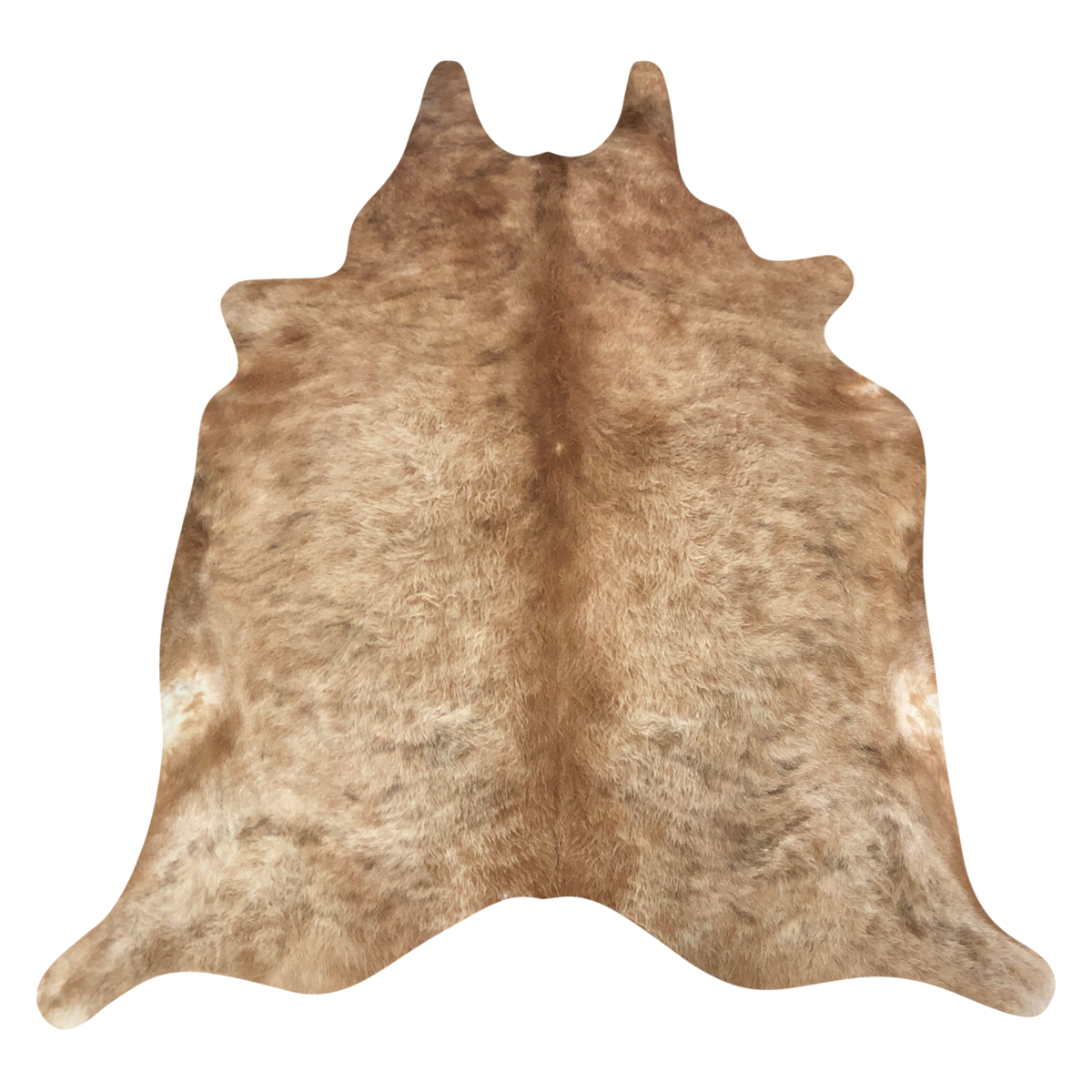 Natural Brazilian cowhide rug in Caramel & Ivory with Exotic markings, 204 x 250 cm