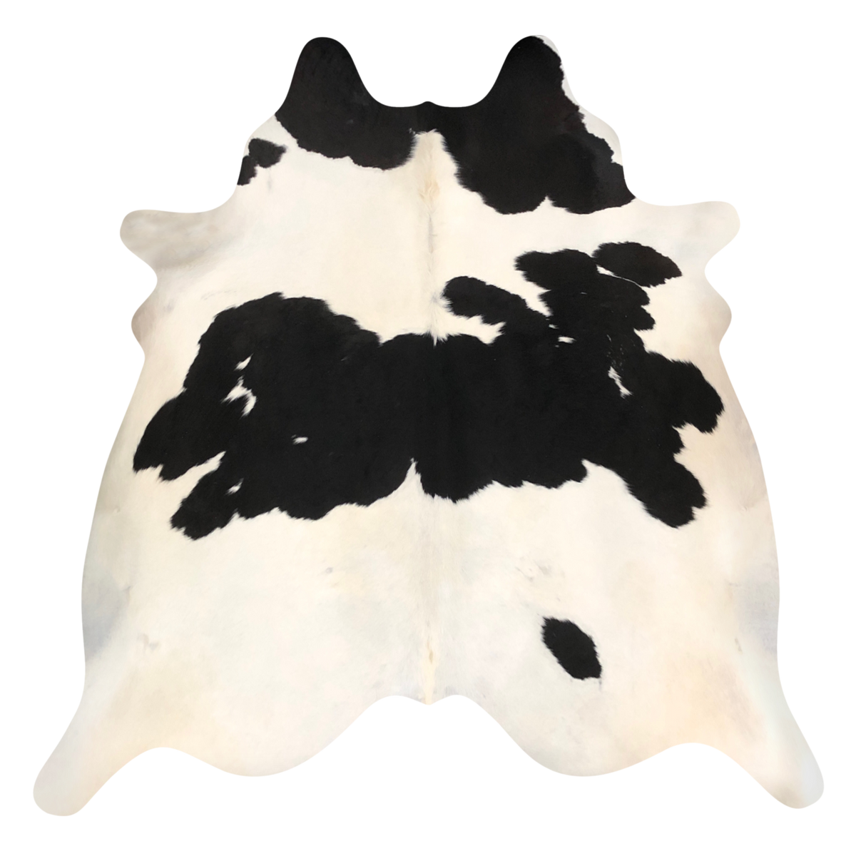 Natural Brazilian cowhide rug in Ivory & Espresso with Exotic markings, 190 x 215 cm