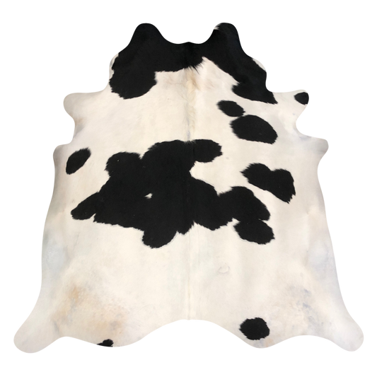 Natural Brazilian cowhide rug in Ivory & Espresso with Exotic markings, 218 x 228 cm