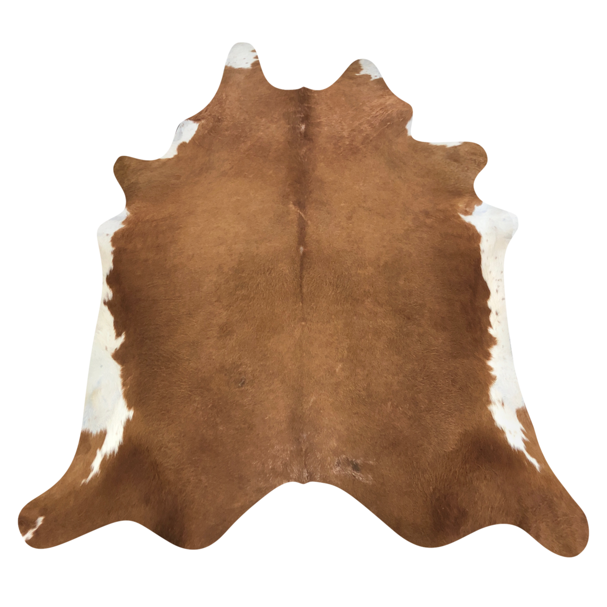 Natural Brazilian cowhide rug in Mocha & Ivory with Exotic markings, 200 x 239 cm