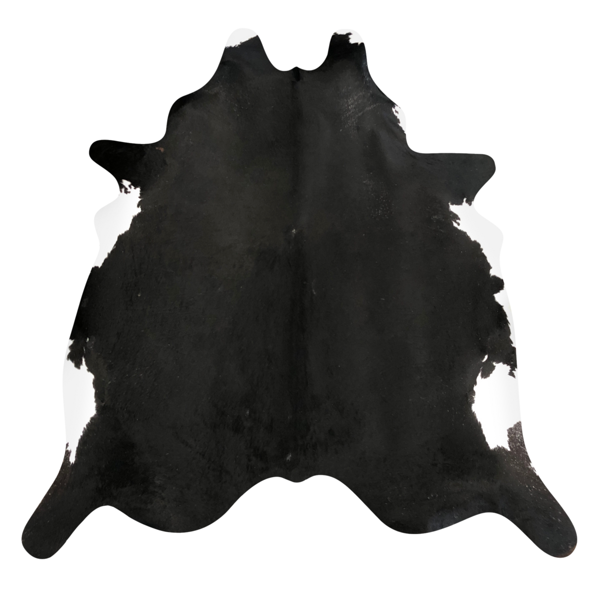 Natural Brazilian cowhide rug in Espresso & Ivory with Exotic markings, 212 x 252 cm