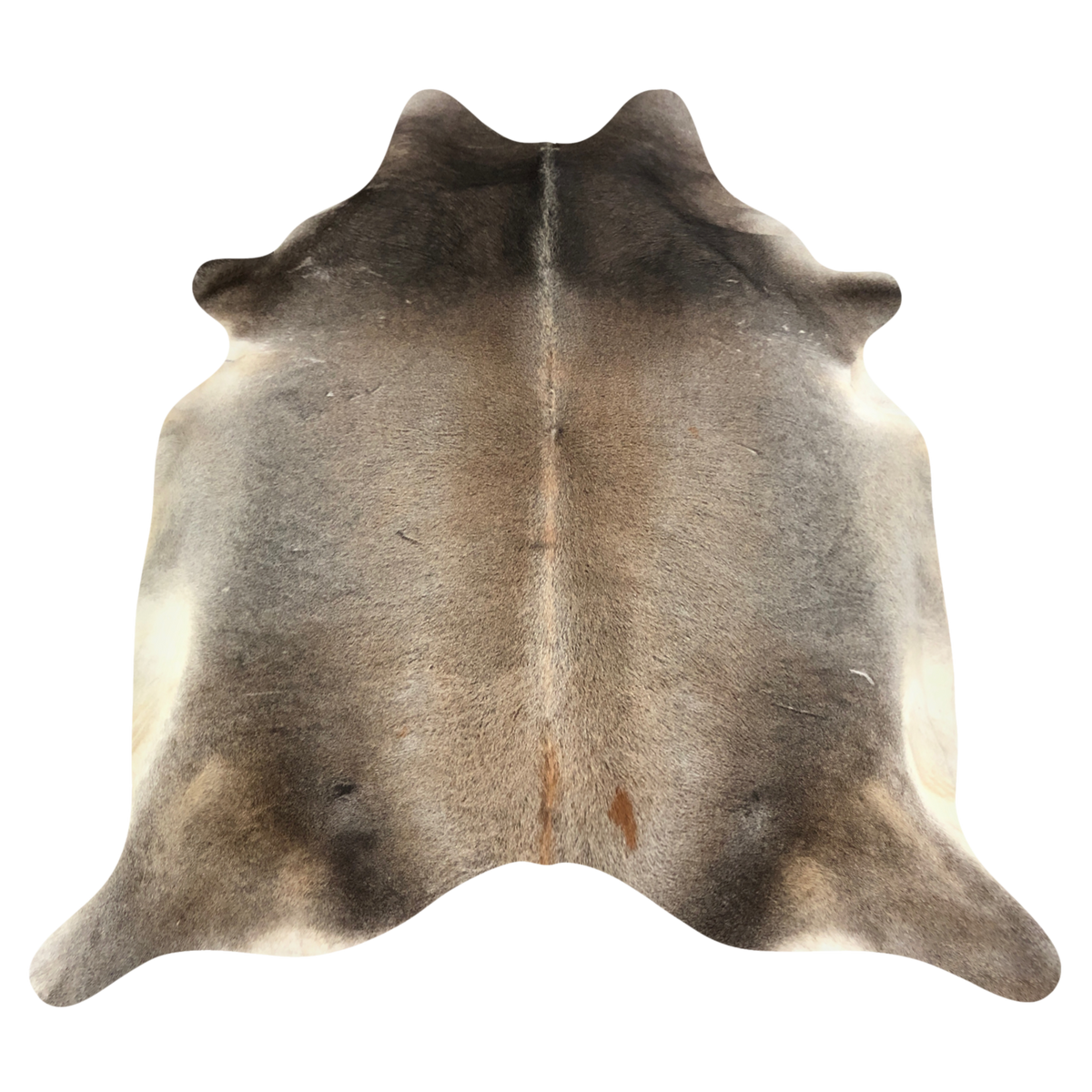 Natural Brazilian cowhide rug in Taupe, Caramel & Ivory with Exotic markings, 240 x 257 cm