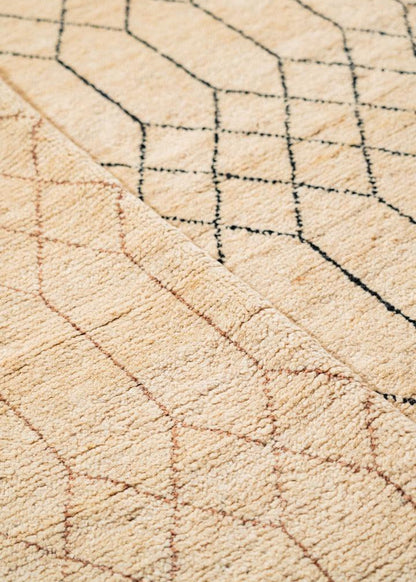 Bazm Hand Knotted Rug - 278 x 189 cm