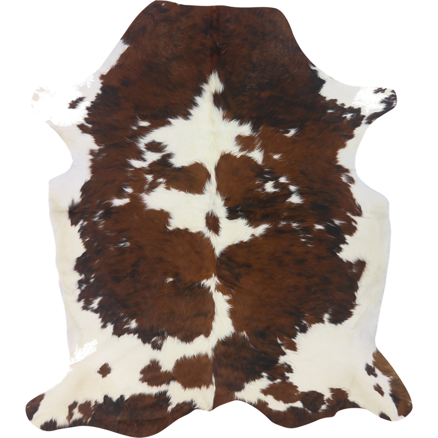 Premium Natural Brazilian Nelore Cowhide Tri Colour Brindle Large – HN-23208, transparent background