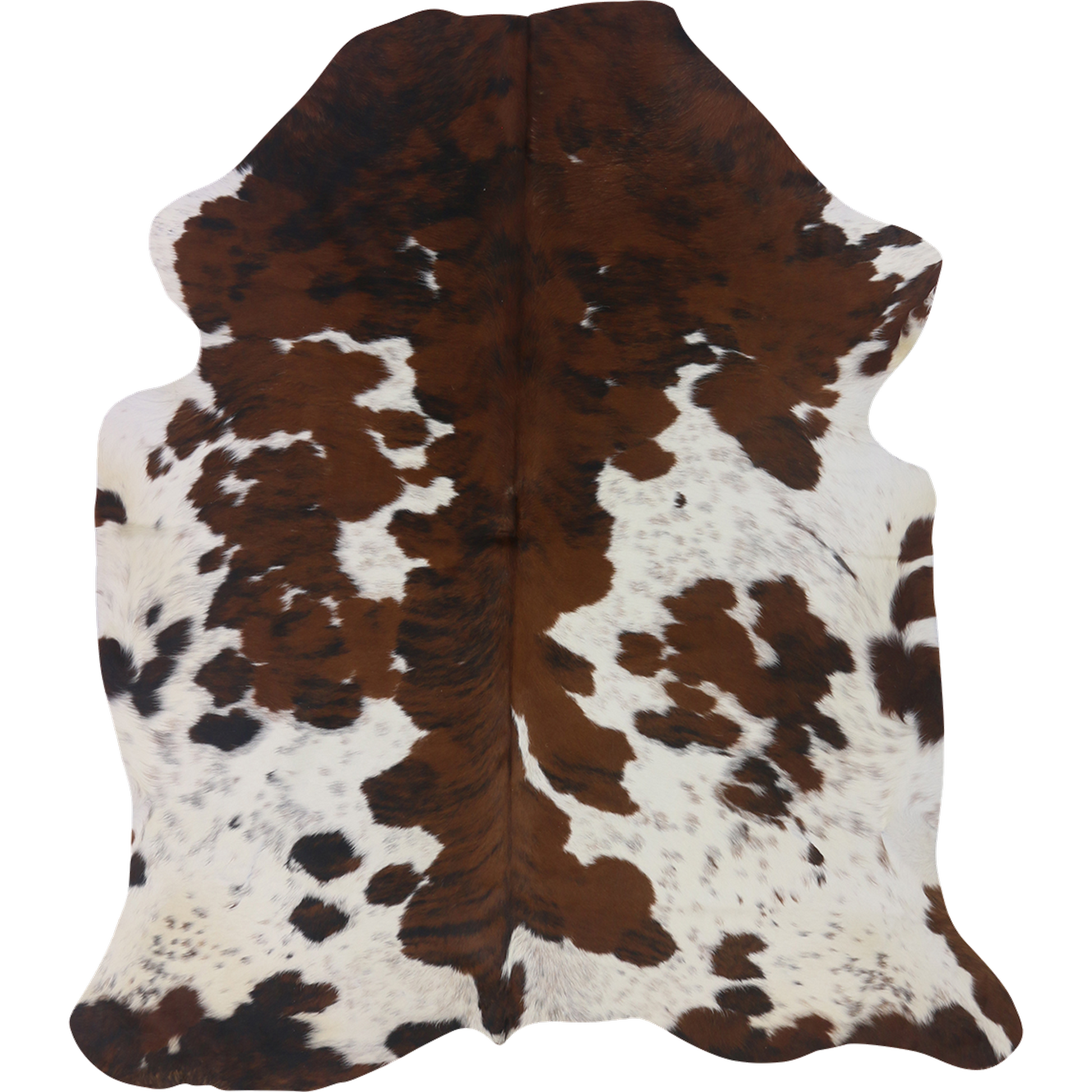 Premium Natural Brazilian Nelore Cowhide Tri Colour Brindle Large – HN-23224, transparent background