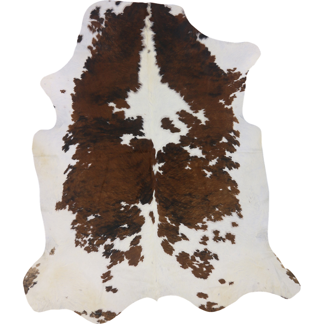 Premium Natural Brazilian Cowhide Tri Colour Brindle Large HN-23236 - top view on white background