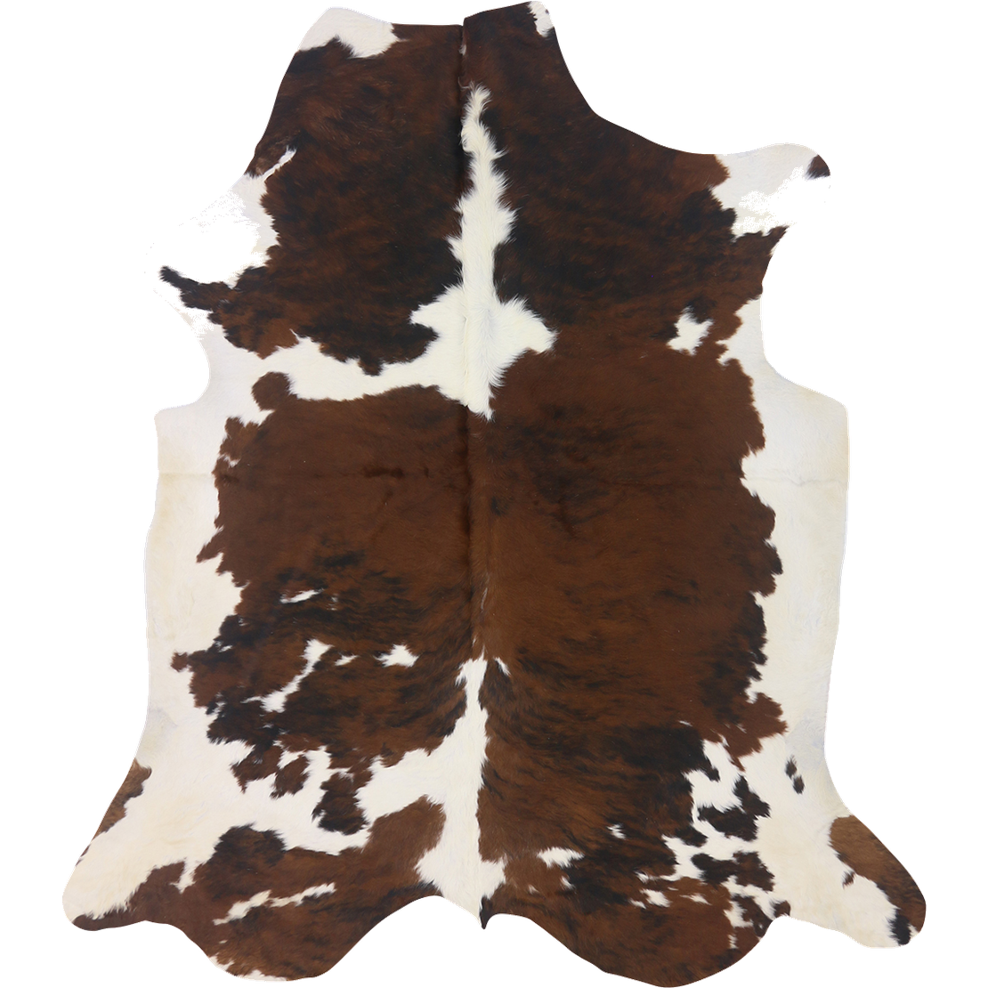 Premium Natural Brazilian Cowhide Tri Colour Brindle Large HN-23243 - top view on white background