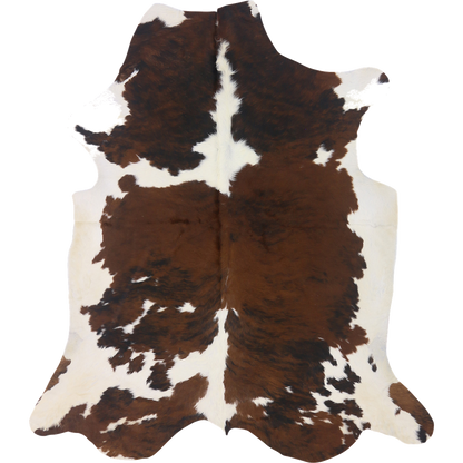 Premium Natural Brazilian Cowhide Tri Colour Brindle Large HN-23243 - top view on white background