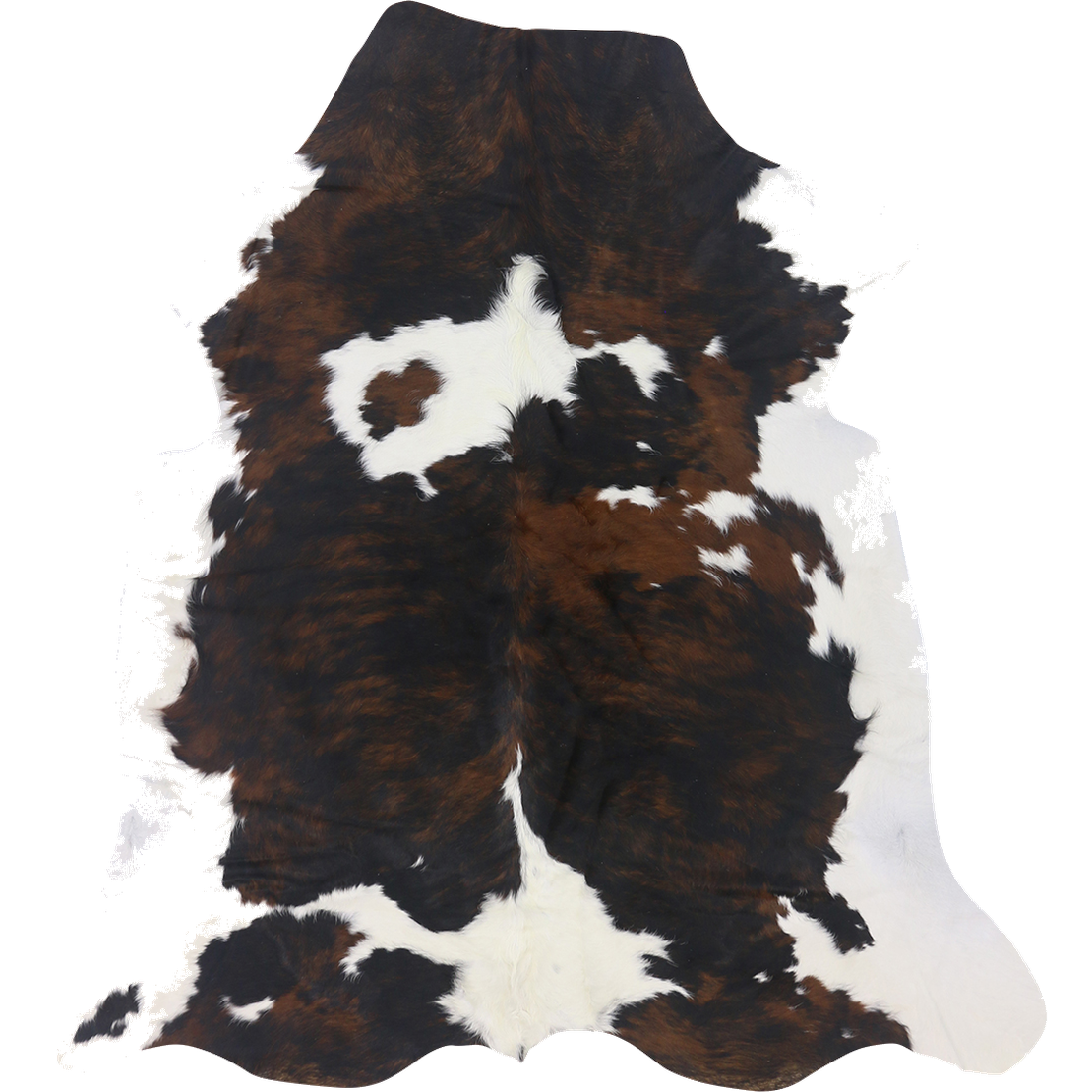 Premium Natural Brazilian Cowhide Tri Colour Brindle Large HN-23244 - top view on white background