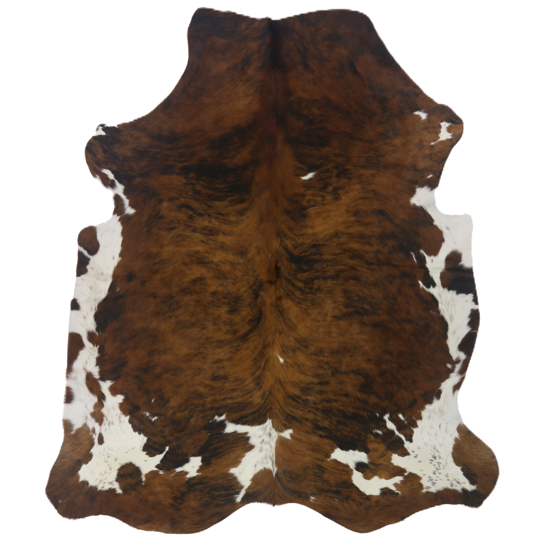 Premium Natural Brazilian Cowhide Tri Colour Brindle Large HN-23304 - top view on white background