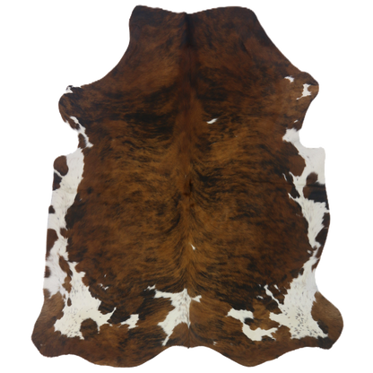 Premium Natural Brazilian Cowhide Tri Colour Brindle Large HN-23304 - top view on white background