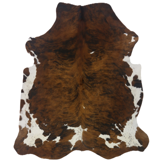 Premium Natural Brazilian Cowhide Tri Colour Brindle Large HN-23304 - top view on white background